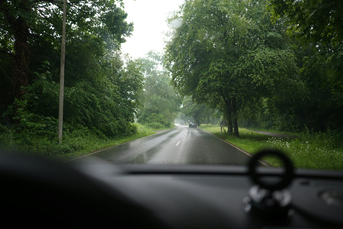 A wet country road lined with trees, seen over the dashboard from the driver's seat