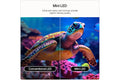 LG 85-inch 4K QNED Smart TV | 85QNED7EB3A.AEI