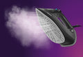 Philips DST3041-89 steam iron product image 5