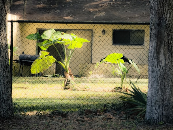 Gardening